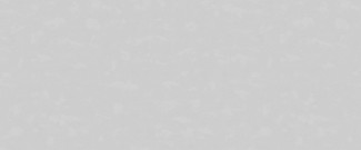 98067 обои Rose Bosfor 2.