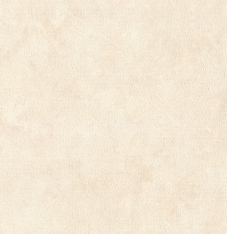 Обои виниловые бежевые однотонные Евро Декор Energy арт. 6018-01 Бежевые однотонны