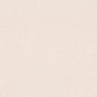 Обо иоднотонныйе бежевые Euro Decor виниловые Romanov арт.7139-01 Обо иоднотонныйе