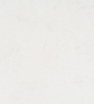 Обои виниловые белые  Артекс  арт. 10515-01 Обои виниловые бе