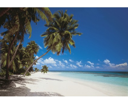 8-240 Фотообои Komar "Maldives"
