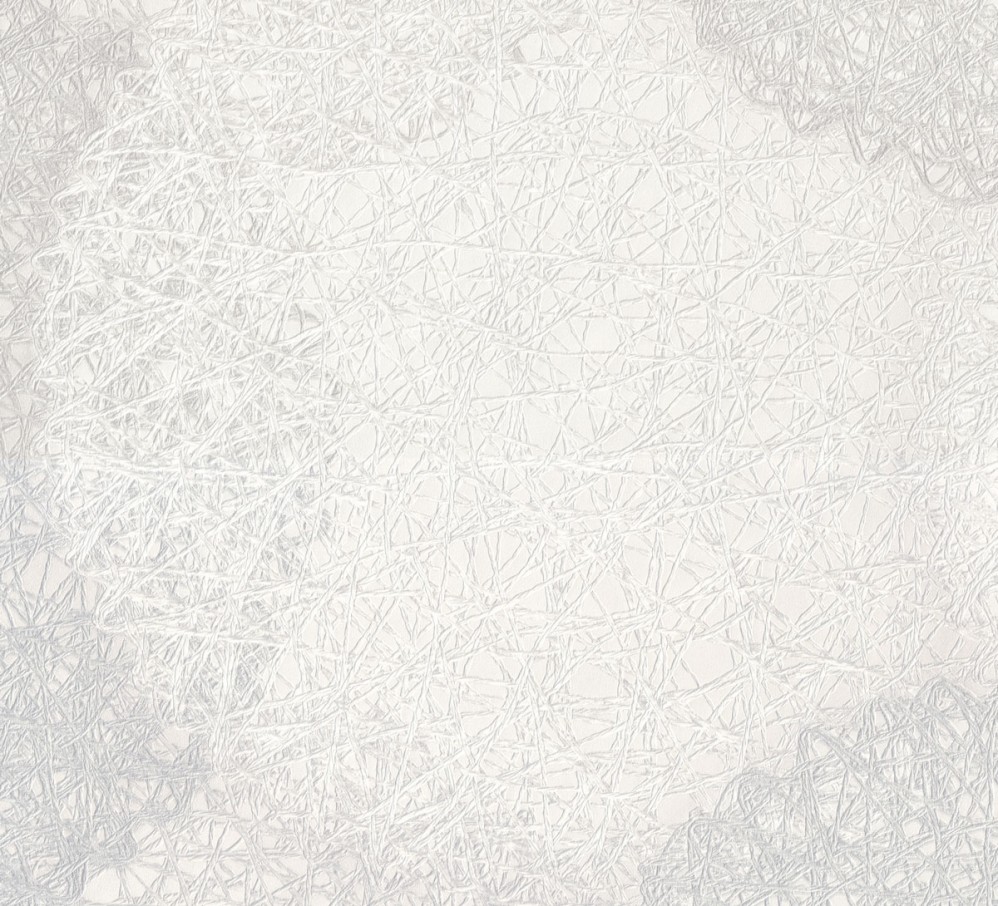 7172-12 Glossy Обои Винил Горячего Тиснения 10м*1.06 м