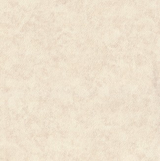 Обои бежевые однотонные с фактурным рисунком Euro Decor виниловые Evolution арт. 7112-17 Обои виниловые бе