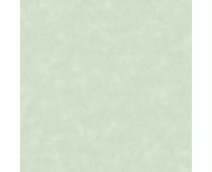 Обои однотонные зелёные Антураж винил Aspen арт. 168533-05